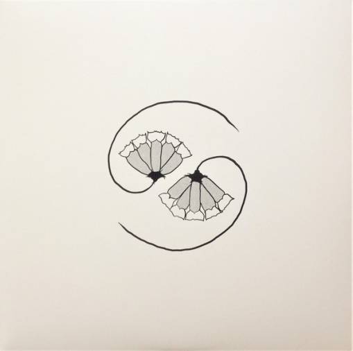 Okładka Godspeed You! Black Emperor - G D's Pee At State's End LP