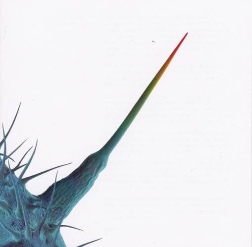 Okładka GABRIEL, PETER - AND I'LL SCRATCH YOURS