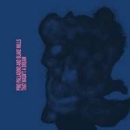 Okładka PALLADINO, PINO / MILLS, BLAKE - THAT WASN'T A DREAM