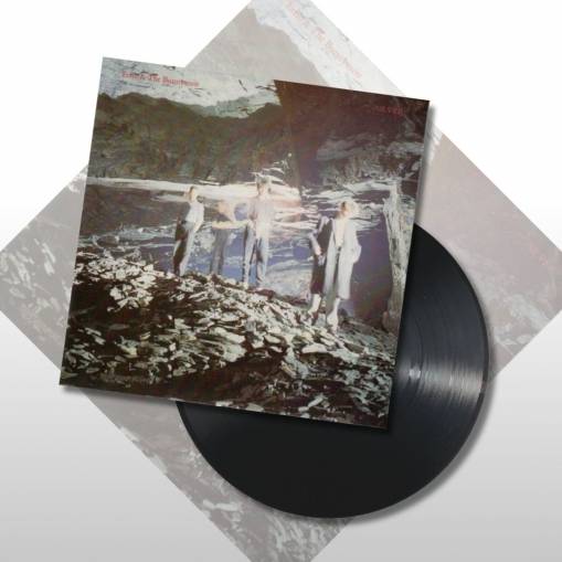 Okładka ECHO & THE BUNNYMEN - SILVER (BLACK VINYL SINGLE. BLACK FRIDAY RSD 2024.)