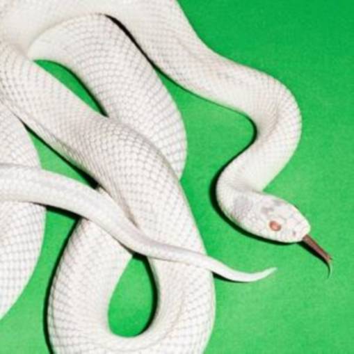 Okładka DEFTONES - PRIVATE MUSIC