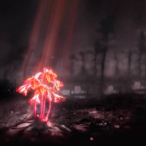 Okładka Enter Shikari - A Kiss For The Whole World