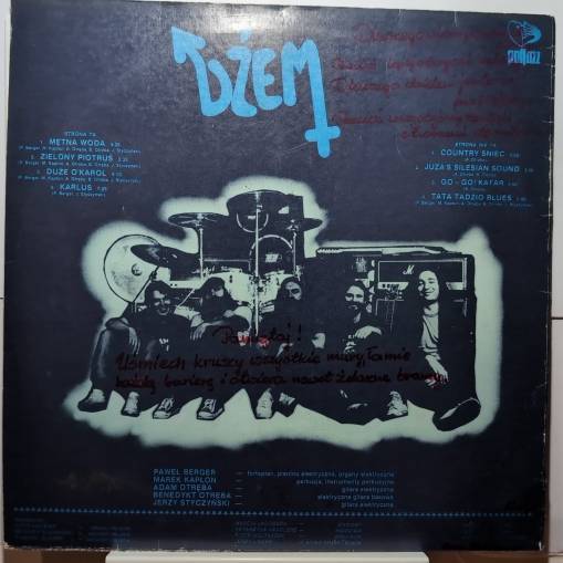 The Band Plays On... (LP) CZYTAJ OPIS [EX]