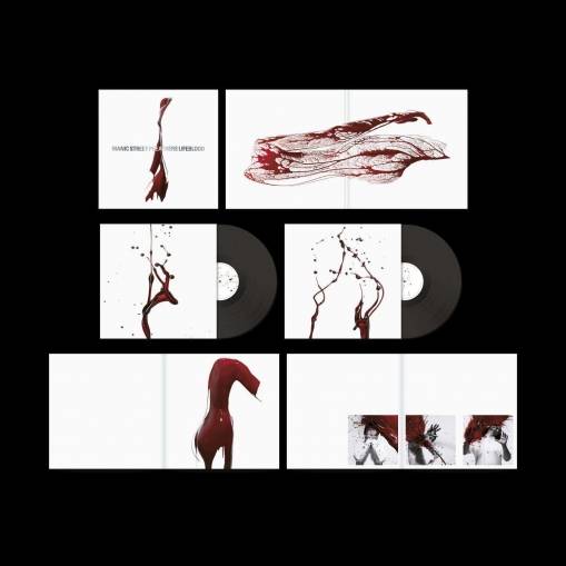 Okładka Manic Street Preachers - Lifeblood 20