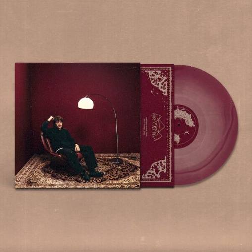 Okładka HUBERT. - KOLOROWE DOMY LP