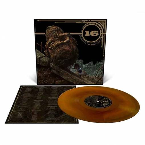 Okładka 16 - Guides For The Misguided LP