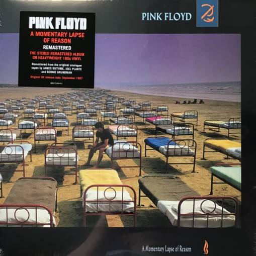 Okładka Pink Floyd - A Momentary Lapse of Reason