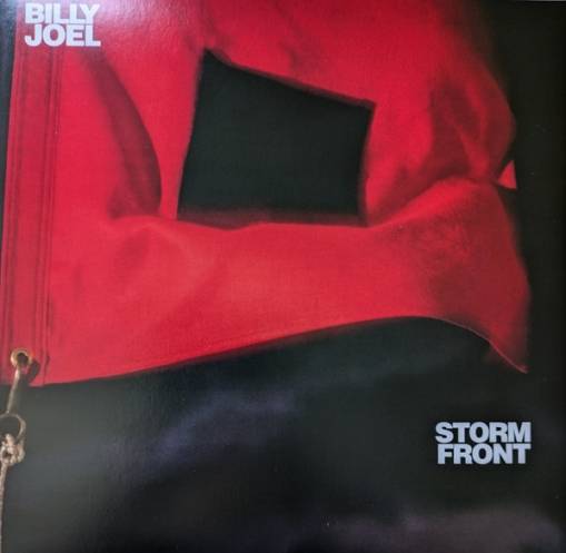 Okładka Joel, Billy - Storm Front