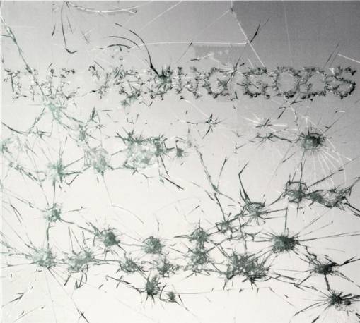 Okładka Young Gods, The - Appear Disappear