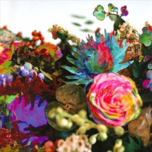 Okładka DARKSTAR - News From Nowhere