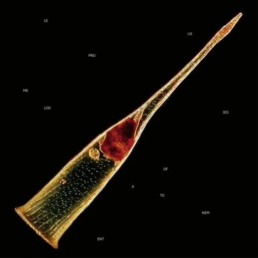 Okładka Leprous - Melodies Of Atonement