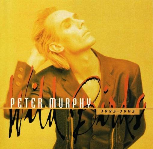 Okładka PETER MURPHY - Wild Birds 1984-1995