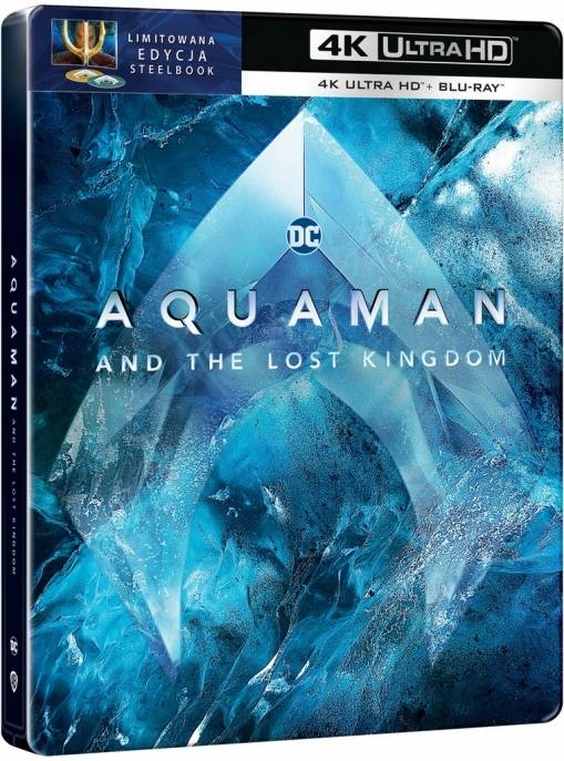 Okładka James Wan - AQUAMAN I ZAGINIONE KRÓLESTWO (2BD 4K STEELBOOK)