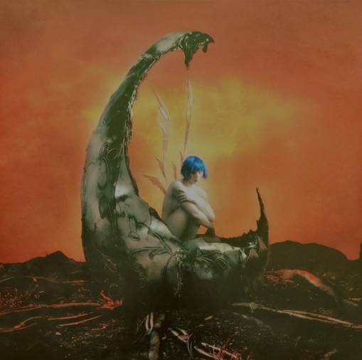 Okładka ASHNIKKO - WEEDKILLER