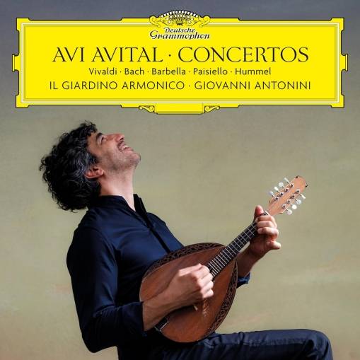 Okładka AVITAL, AVI - CONCERTOS